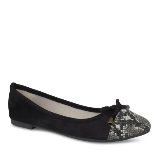 Ballerina's ZWART