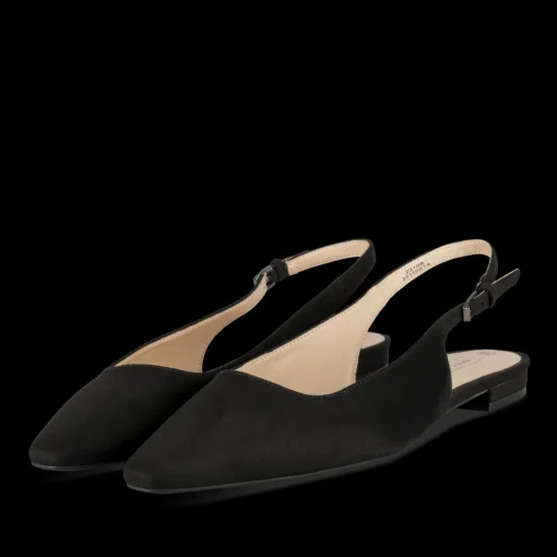 Ballerina's ZWART