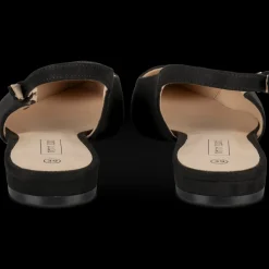 Ballerina's ZWART