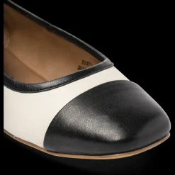 Ballerina's ZWART